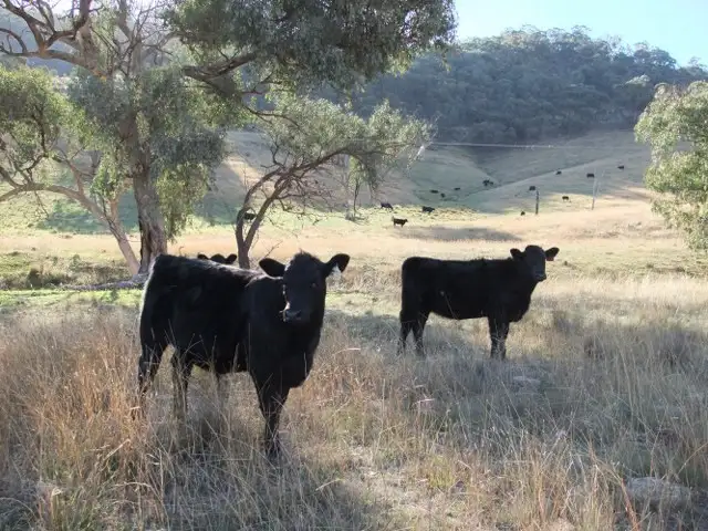 Second view of Homely rural property listing, Address available on request