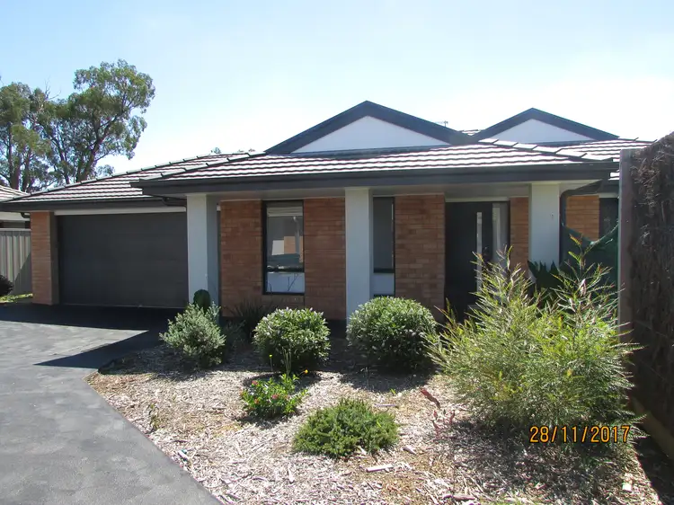 Main view of Homely house listing, 19 Brookfield Mews, Lavington NSW 2641