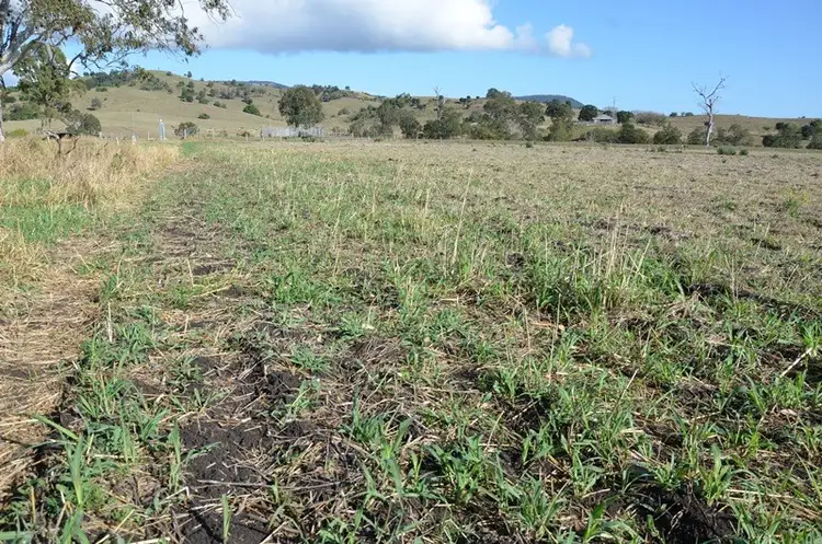 Second view of Homely rural property listing, 124 Boonah-Rathdowney Road, Dugandan QLD 4310