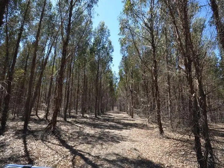 Seventh view of Homely rural property listing, Forest Road, Lexton VIC 3352