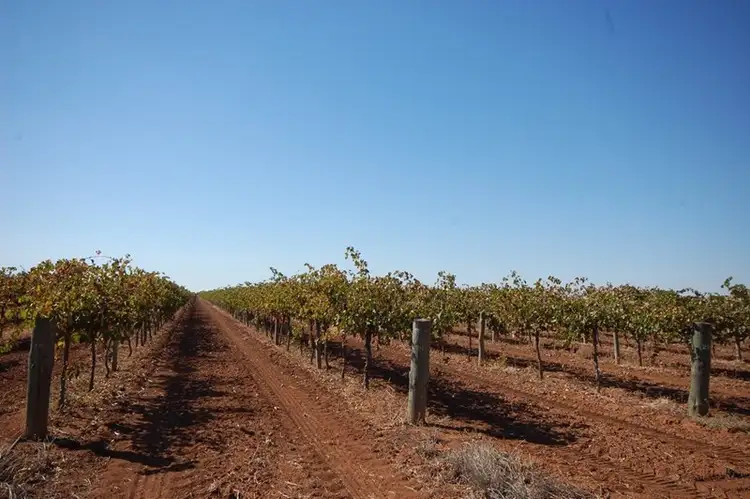 Third view of Homely rural property listing, Farm 1058a Kidman Way, Hanwood NSW 2680