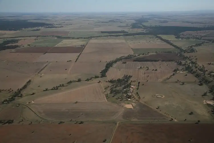 Sixth view of Homely rural property listing, 1 "Mascot", Parkes NSW 2870