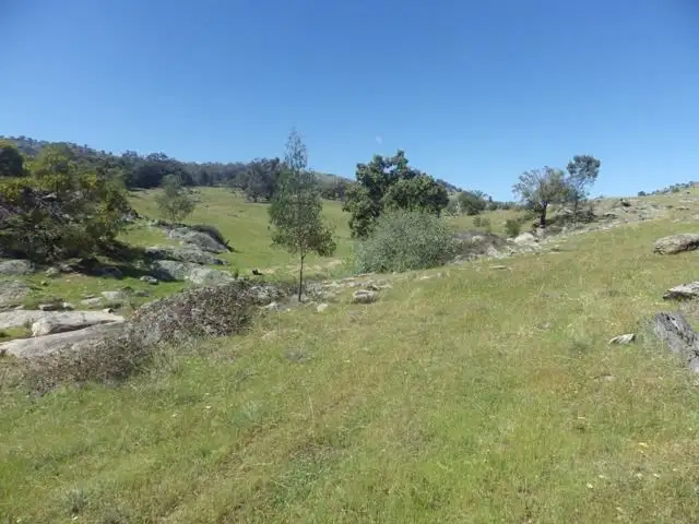 Second view of Homely rural property listing, Lots 156 and 157 Tarrants Gap Road, Wyangala NSW 2808