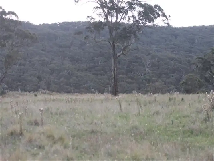 Second view of Homely rural property listing, 1362 Bald Ridge Road, Burraga NSW 2795