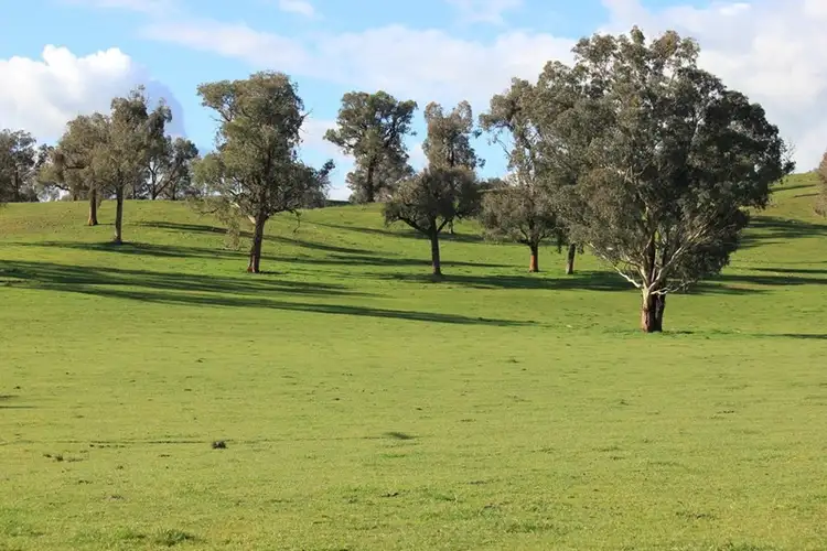 Second view of Homely rural property listing, Rosalie Hume Highway, Tarcutta NSW 2652