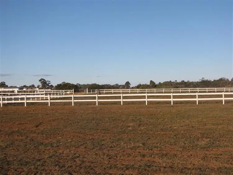 Second view of Homely rural property listing, 286 Caddy Road, Loveday SA 5345