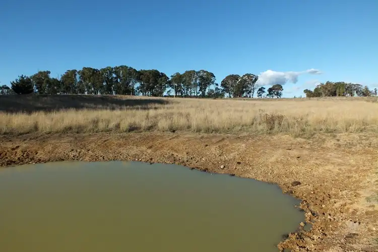 Seventh view of Homely rural property listing, 281 O'Connell Road, Oberon NSW 2787