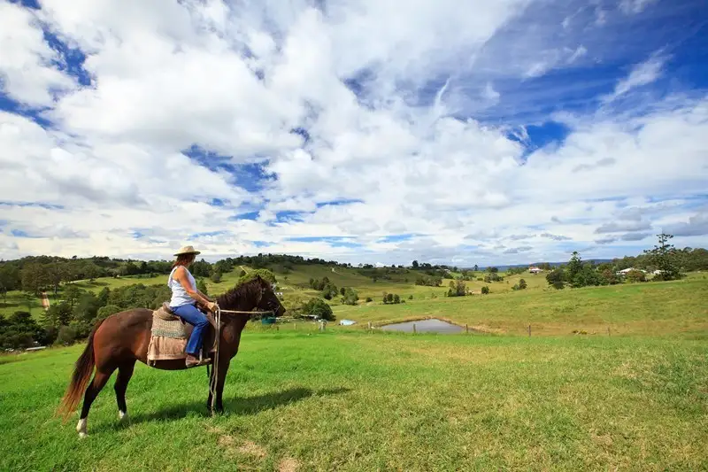 Main view of Homely house listing, 55 Happy Jack Creek Road, Ridgewood QLD 4563