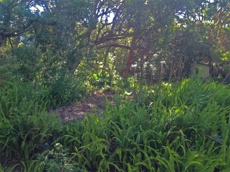 Third view of Homely land listing, 32 Grandview Crescent, Killcare NSW 2257