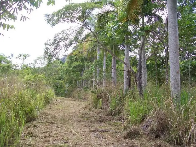 Fourth view of Homely rural property listing, 2340 Innisfail Japoon Road, Mena Creek QLD 4871