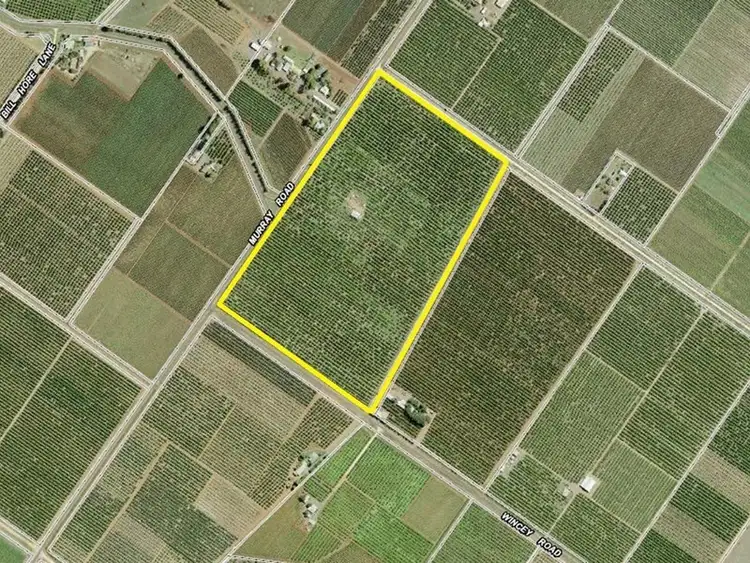 Farm 78 Murray Road, Yoogali NSW 2680