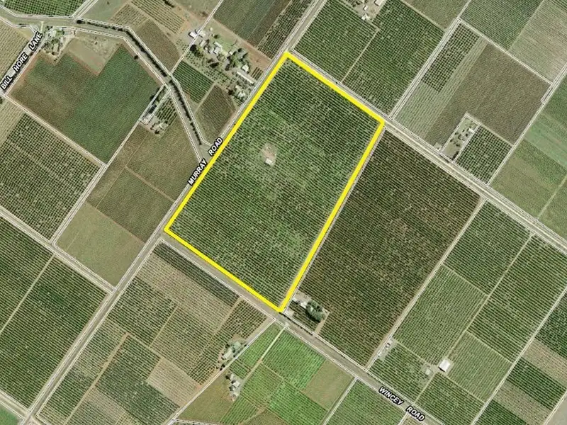 Main view of Homely rural property listing, Farm 78 Murray Road, Yoogali NSW 2680