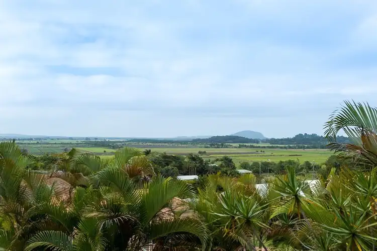 Third view of Homely house listing, 17 Jill Court, Bli Bli QLD 4560