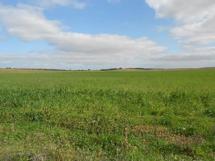 Fourth view of Homely rural property listing, Sec. 118 Kulkami - Mulpata Road, Lameroo SA 5302