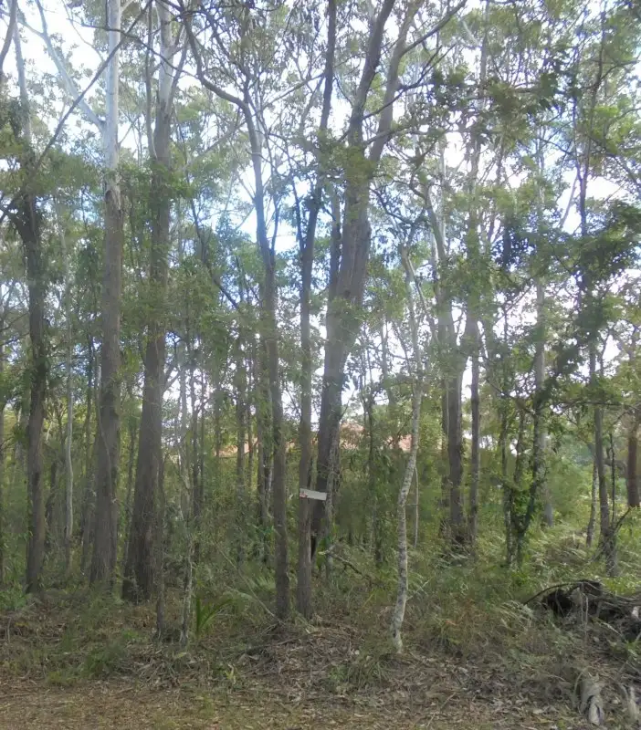 Main view of Homely land listing, 83 Harvey Street, Russell Island QLD 4184