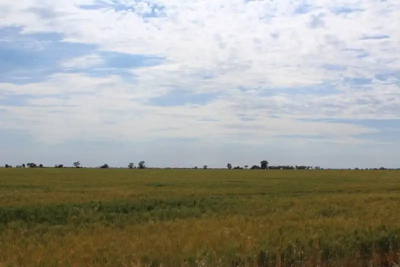 Main view of Homely rural property listing, " Part Kyona", Moree NSW 2400