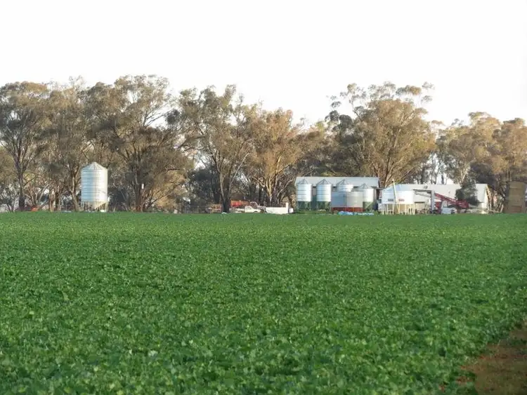 Sixth view of Homely rural property listing, 599 Trigalong Road, Temora NSW 2666