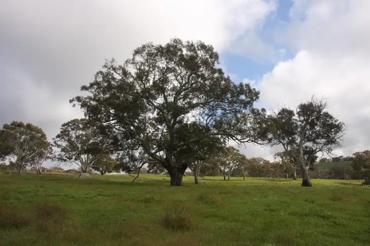 Third view of Homely rural property listing, Lot 203 Petwood Road, Nairne SA 5252
