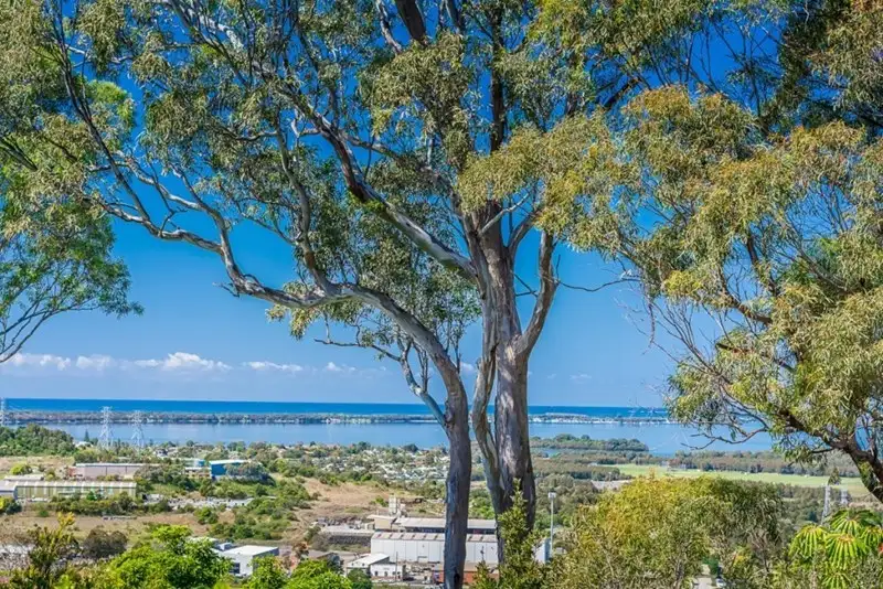 Main view of Homely house listing, 197 Farmborough Road, Farmborough Heights NSW 2526