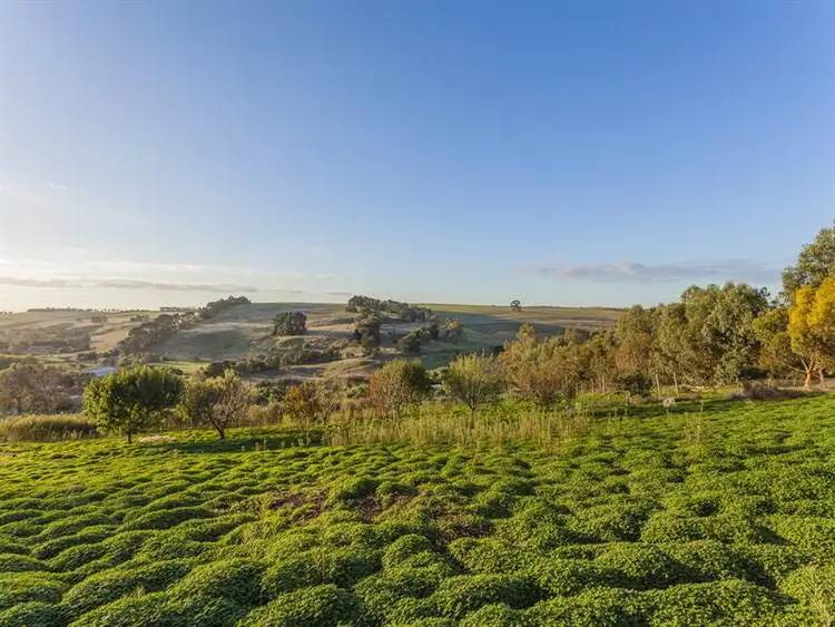 Sixth view of Homely house listing, 145 Lemins Road, Waurn Ponds VIC 3216