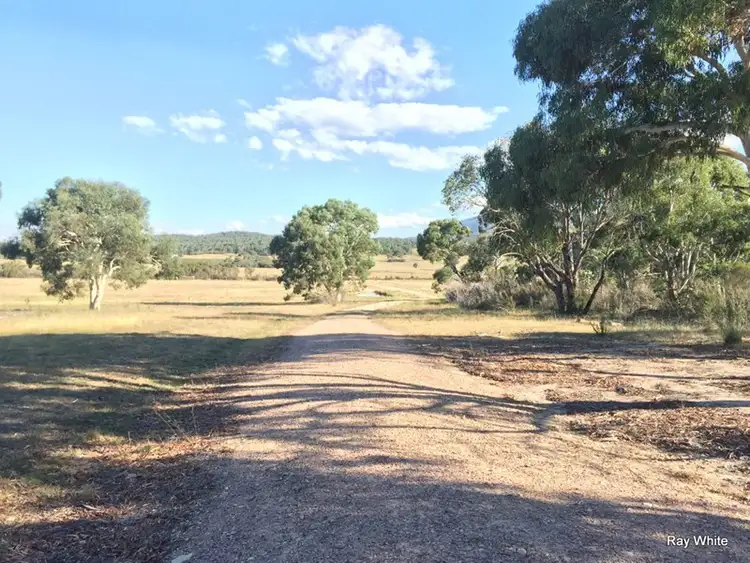 Sixth view of Homely rural property listing, 1114 Bombay Road, Braidwood NSW 2622