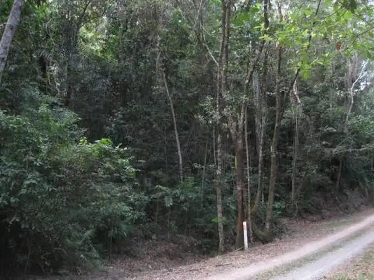 Fifth view of Homely land listing, Lot 17 Cape Tribulation Road, Daintree QLD 4873
