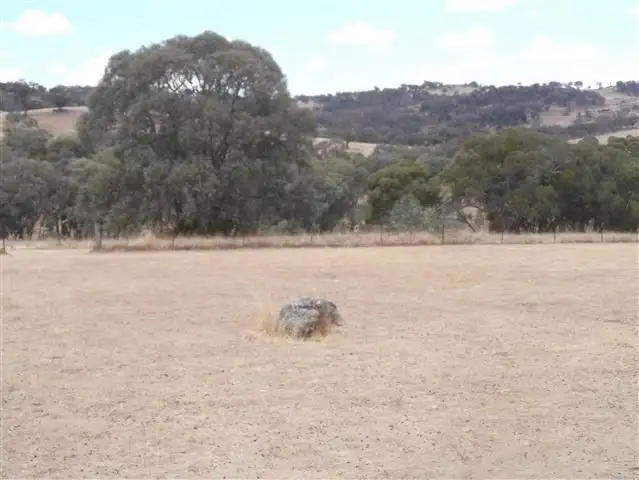 Second view of Homely rural property listing, 99 Allison Drive, Woodstock NSW 2793