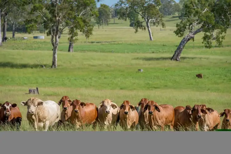 Sixth view of Homely rural property listing, 5422 Bauple Woolooga Road, Woolooga QLD 4570