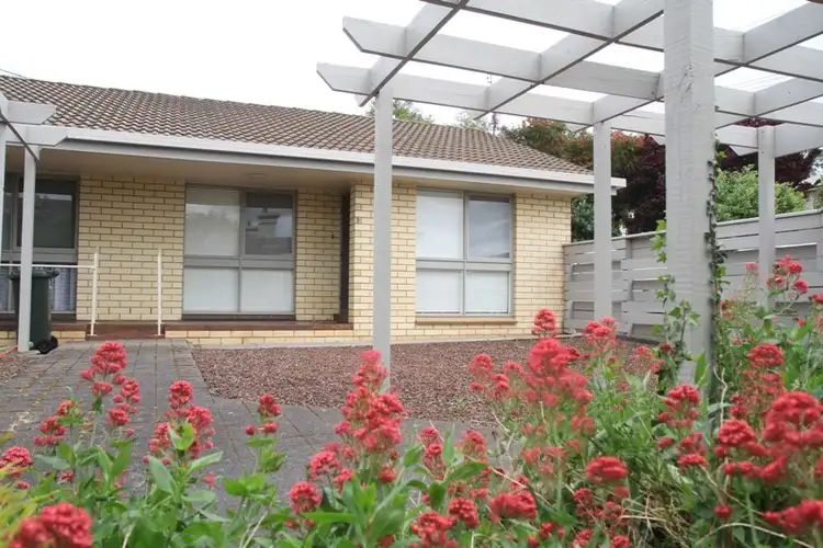 Main view of Homely unit listing, 1/55 Bertha Street, Mount Gambier SA 5290
