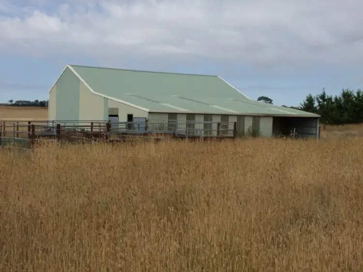 Fifth view of Homely rural property listing, 627 Vittoria Road, Millthorpe NSW 2798