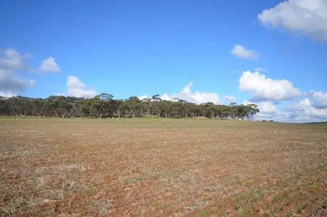 Sixth view of Homely rural property listing, "Huxley's" Curio Highway, Marrabel SA 5413