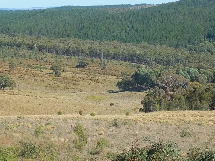 Third view of Homely rural property listing, Address available on request