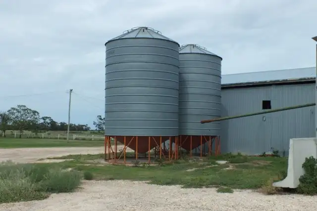 Sixth view of Homely rural property listing, 946 Millers Road, The Gums QLD 4406