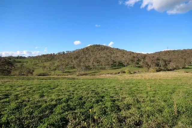 Second view of Homely rural property listing, 604 Mt Olive Road, Tarana NSW 2787