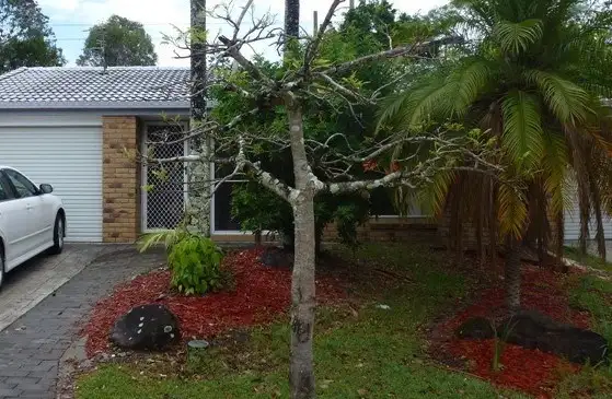 Main view of Homely unit listing, 2/19 Michigan Drive, Oxenford QLD 4210
