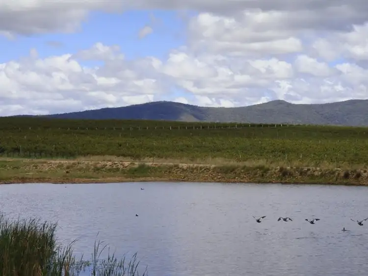 Fourth view of Homely rural property listing, 89 Days Road, Ballandean QLD 4382