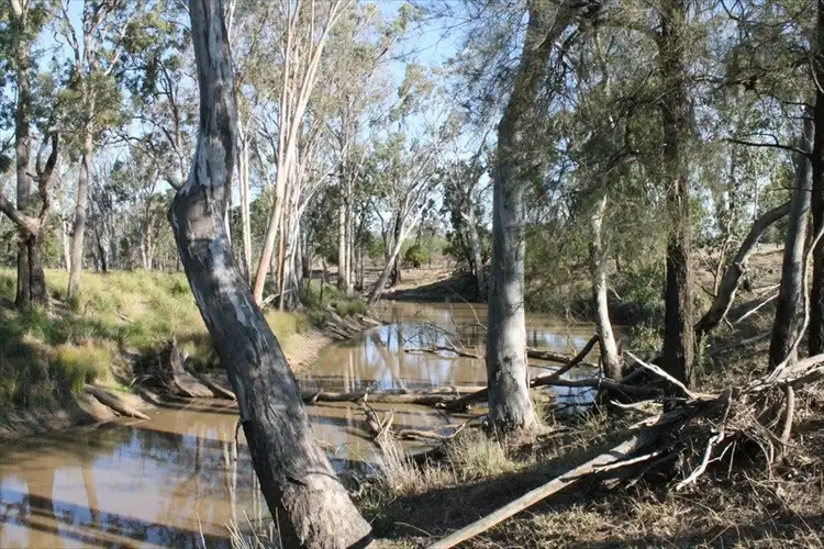 Seventh view of Homely rural property listing, . Monteray., Chinchilla QLD 4413