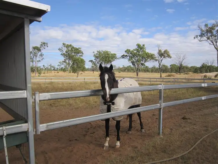 Fifth view of Homely rural property listing, Lot 29 Clifton Street, Gracemere QLD 4702