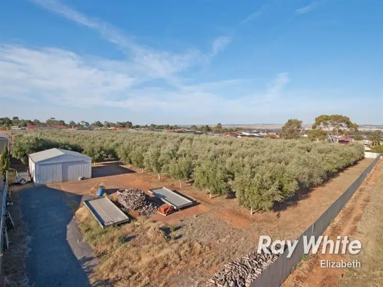 Main view of Homely land listing, 94 Peerless Road, Munno Para West SA 5115