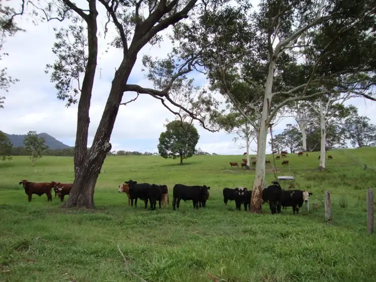 Fifth view of Homely rural property listing, 148 Pine Log Road, Doon Doon NSW 2484