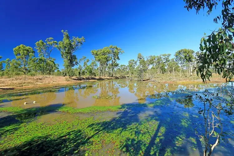 Fourth view of Homely rural property listing, 1560 Yeppoon Road, Mulara QLD 4703
