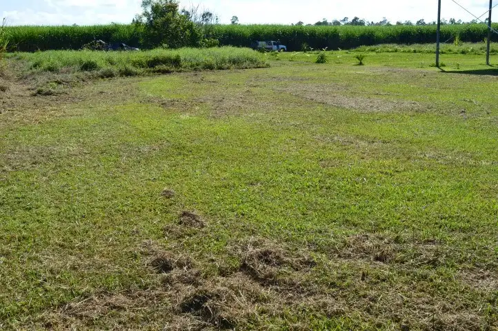 Main view of Homely land listing, 7 Mary Street, Silkwood QLD 4856