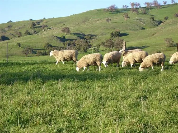 Second view of Homely rural property listing, Address available on request