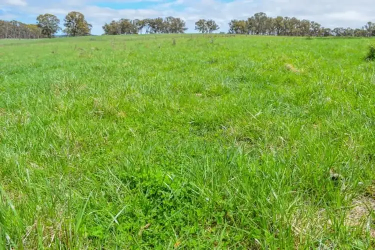 Third view of Homely rural property listing, Earlstoun 126 Earlstoun Road, Guyra NSW 2365