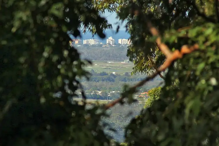 323 Kiel Mountain Road, Kiels Mountain QLD 4559