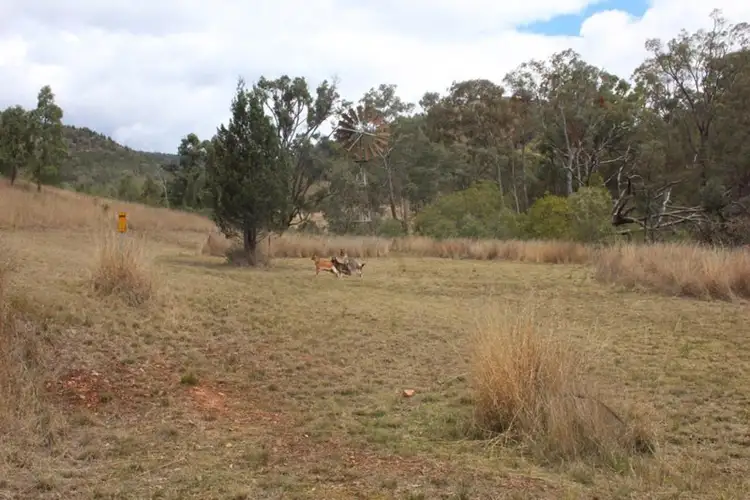 Lot 74 Mole River Road, Tenterfield NSW 2372