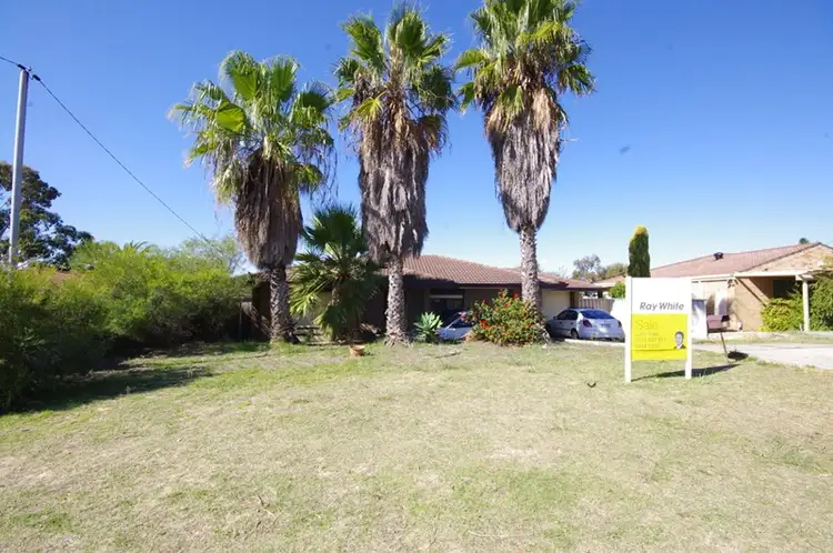 Main view of Homely house listing, 66 Dryandra Drive, Mirrabooka WA 6061