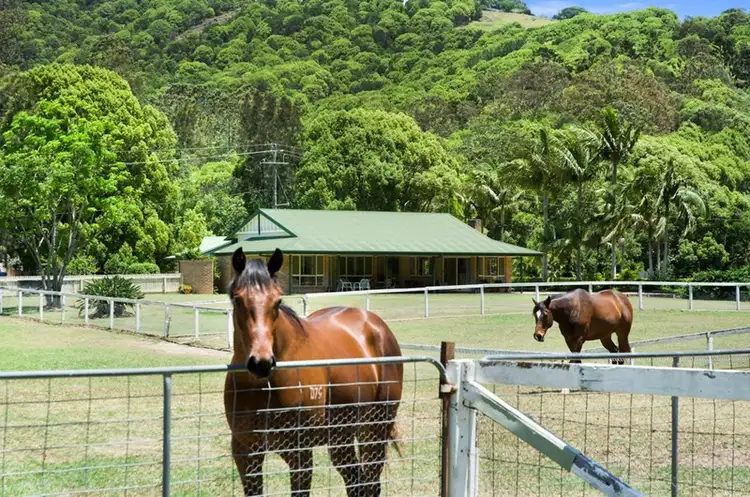 915 Currumbin Creek Road, Currumbin Valley QLD 4223