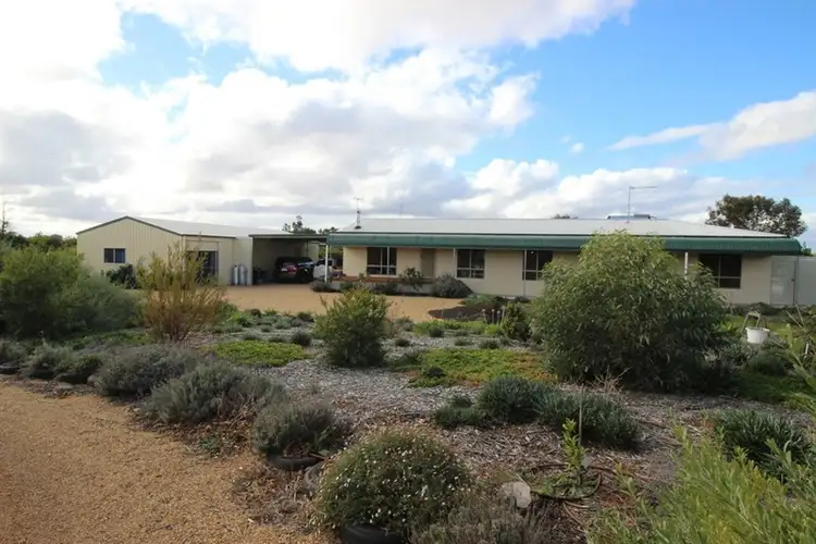 188 Medley Road, Waikerie SA 5330