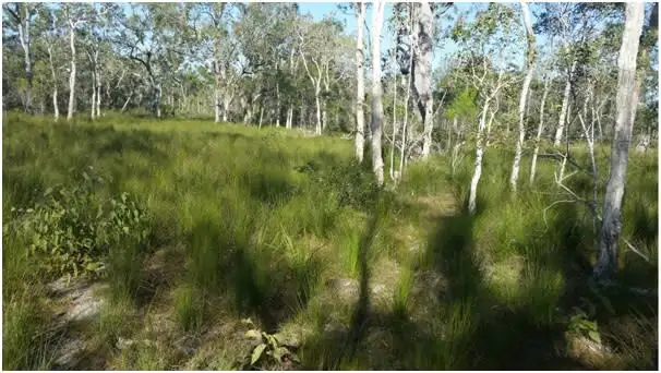 Fourth view of Homely land listing, 477 Pacific Haven Circuit, Pacific Haven QLD 4659